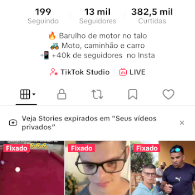 Conta TikTok | 13K Seguidores | +380K Curtidas | Vídeos Virais | Alto