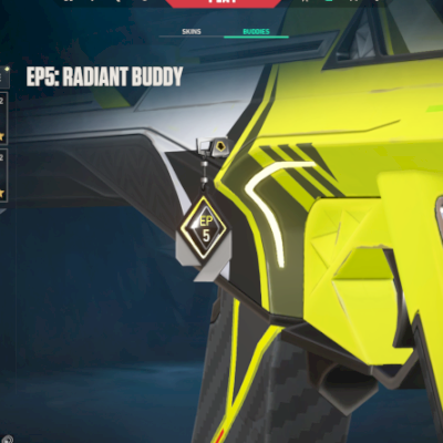 Conta 2x radiante, 2x imortal, 1400 gastos e diversas skins