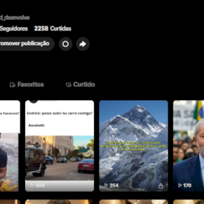 CONTA TIK TOK 1369 SEGUIDORES