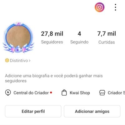 CONTA KWAI 27,8K DE SEGUIDORES E 7,7K DE CURTIDAS (CONTAS KWAI)