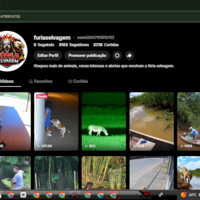 CONTA TIKTOK  3.1k SEGUIDORES BR | PRONTA PARA USO! ⭐⭐⭐⭐⭐