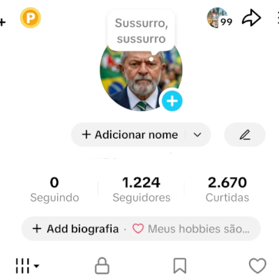 CONTA TIK TOK 1,2K SEG E 2,6K DE CURTIDAS (CONTAS TIK TOK)