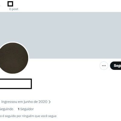 Twitter 2020 + Conta fem/masc + Foto de perfil e acesso ao email + Acesso total