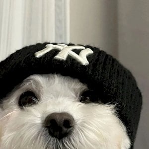 Doug
