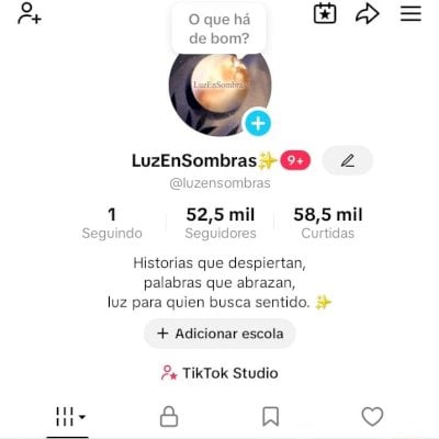CONTA DO TIKTOK EUA MONETIZADA +52,6K SEGUIDORES