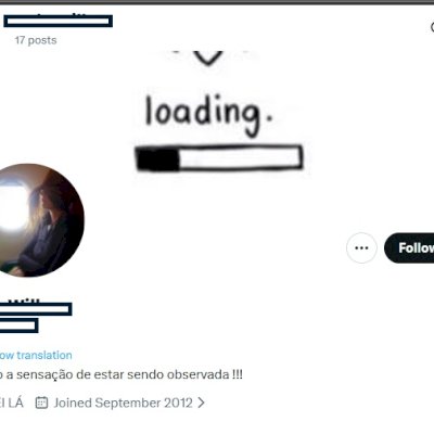 Twitter 2012 + Conta feminina + Foto de perfil e acesso ao email