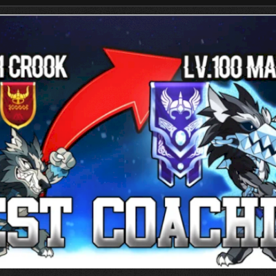 COACH DE BRAWLHALLA PARA DIAMANTE todos dias uteis no periodo da noite(Sou 2300)