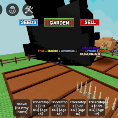 Conta com 2 bone blossom e 1 candy blossom e fruta de 98kg na bone