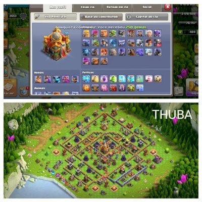 CV16 MÉDIA, BARATINHA (THUBA)