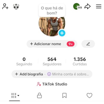 CONTA TIK TOK 564 SEG E 1,3K DE CURTIDAS (CONTAS TIK TOK)