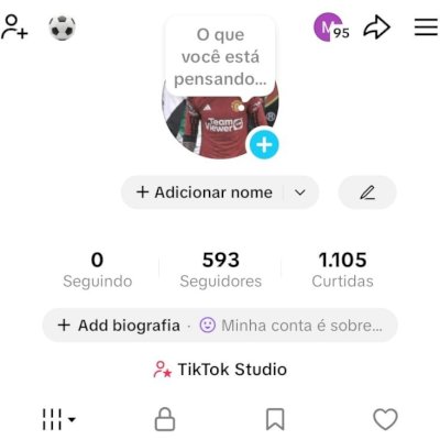 CONTA TIK TOK 593 SEG E 1,1K DE CURTIDAS (CONTAS TIK TOK)