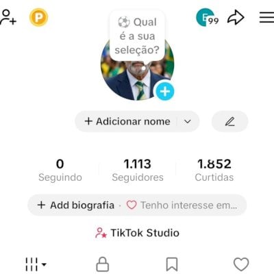 CONTA TIK TOK 1,1K SEG E 1,8K DE CURTIDAS (CONTAS TIK TOK)