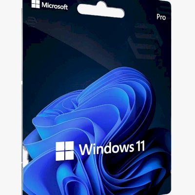 Windows 11 Professional