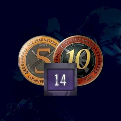 CONTA ANTIGA STEAM 14 ANOS MEDALHAS 5 E 10 ANOS DE SERVIÇO