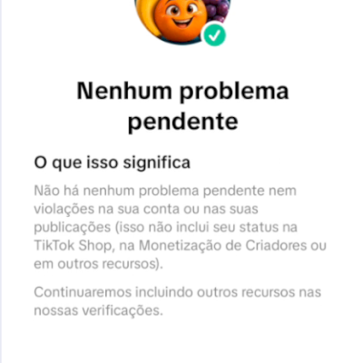 TIKTOK MONETIZADA — 26,6 MIL SEGUIDORES | ADICIONAL + LINK NA BIO