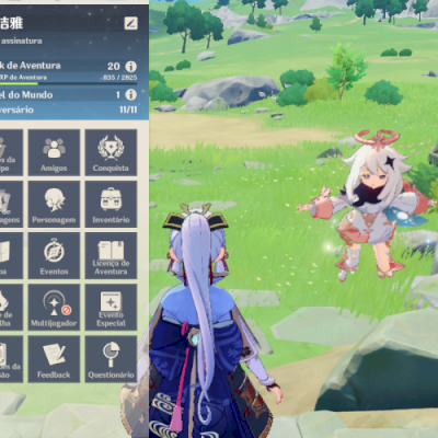 conta com ayaka e arma do itto