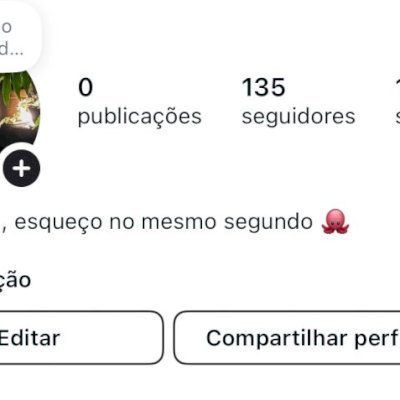 Conta do Instagram engajada