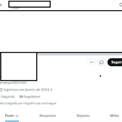 Twitter 2024 seguidores + Conta pessoa + Perfil acesso ao email + email seguro