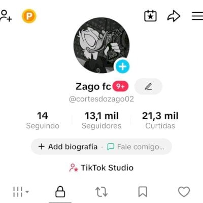 CONTA DO TIKTOK MONETIZADA +13,1K SEGUIDORES CURTIDAS (ENGAJAMENTO REAL)