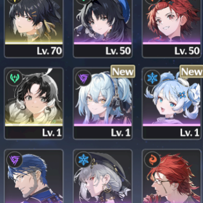 Wuthering Waves Lvl 46 – Aemeath+sig & Chisa+sig +verina 26.000 Astrite