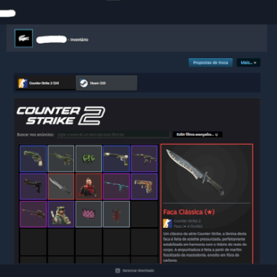 CONTA STEAM COM INVENTÁRIO AVALIADO EM 1200 REAIS (COM ACESSO TOTAL A CONTA)