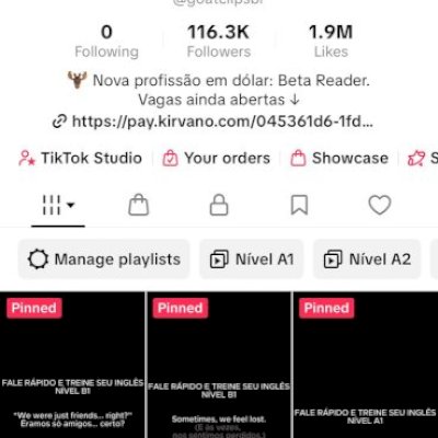 Conta tiktok 116k monetizada