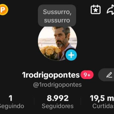 CONTA TIKTOK 8K SEGUIDORES BR 🇧🇷 PROMOVER+SITE+LIVES+TROCAR NOME ✅ SEM SHOP ❌