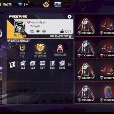 CONTA FF / NVL 67 / +400 PEITORAIS / SOMBRA ROXA / REI CAVEIRA E MUITO + INTENS