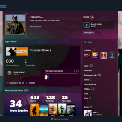 CONTA STEAM COM 4 ANOS E 75 JOGOS + EPIC GAMES COM 12 JOGOS!!.