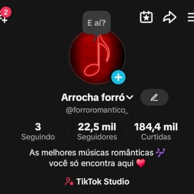 CONTA TIKTOK +22K SEGUIDORES ENGAJADA!