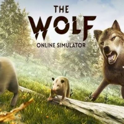 CONTAS THE WOLF (FULL ACESSO)