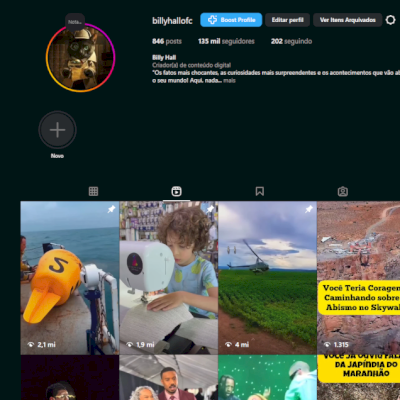 Perfil Instagram Nicho Curiosidades 135k com Seguidores Orgânicos