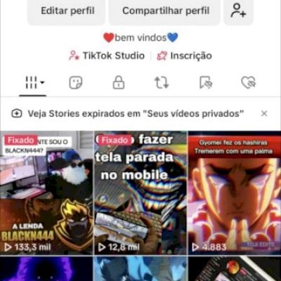 Tik Tok Conta monetizado, Nicho de FF e pt animes