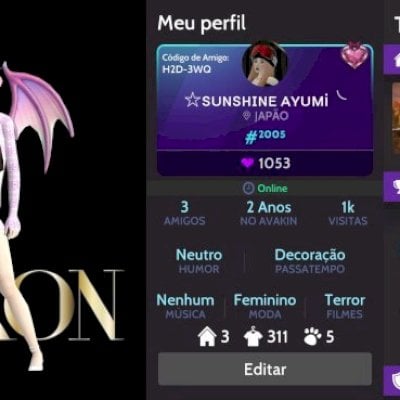 Conta nível 23 avakin life