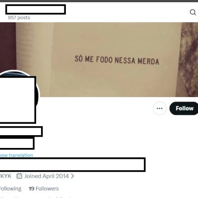 Twitter 2014 + Conta feminina + Foto de perfil e acesso ao email