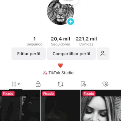 TIKTOK 20K ALTO ENGAJAMENTO RPM NOVO