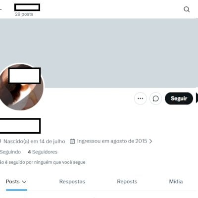 Twitter 2015 + Conta fem/masc + Foto de perfil + Acesso 2fa