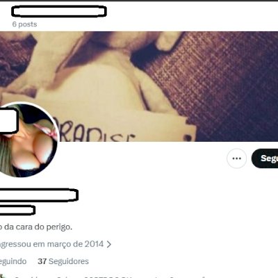 2014 Conta do Twitter Antiga X + Tematica LGBT feminino 18+ Acesso ao email