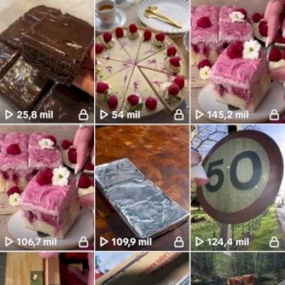 Tiktok 17k seguidores 100% reais muito engajada, live studio  (Leia a descrição)