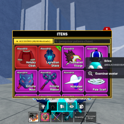 Conta focada em blox fruits e outras coisas