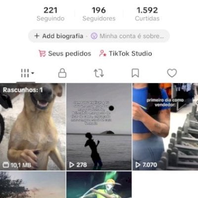 CONTA TIK TOK SEGUIDORES REAIS