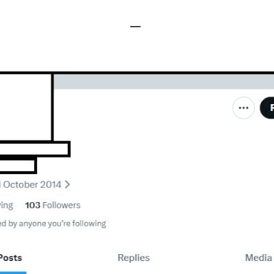 Twitter 2014 +100 fol Conta feminina + Foto de perfil e acesso ao email