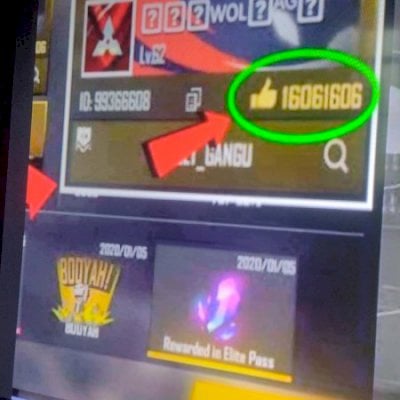 Passe de Free fire e likes muito barato