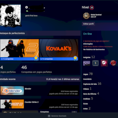 Steam Lvl 16 |75 Jogos| Hogwarts Legacy + Ark + Gta V + Dayz + Rust + Cs2 Prime