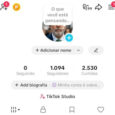 CONTA TIK TOK 1K DE SEG E 2,5K DE CURTIDAS (CONTAS TIK TOK)