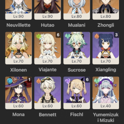 CONTA COM 11 T5 (NEUVILLETTE, HUTAO, XILONEM ETC)