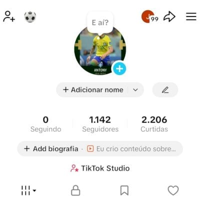 CONTA TIK TOK 1.1K DE SEG E 2,2K DE CURTIDAS (CONTAS TIK TOK)