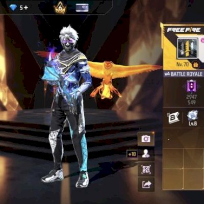 Conta de ff nível 70 prime 6 com 3 armas evolutivas ak,mp40,xm8