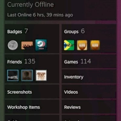 Steam com 164 jogos e 17 anos de conta