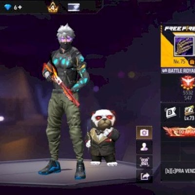 Conta Levei 75, mais de ano juntando caixas e pacotes! Tem muitas skin atributa.